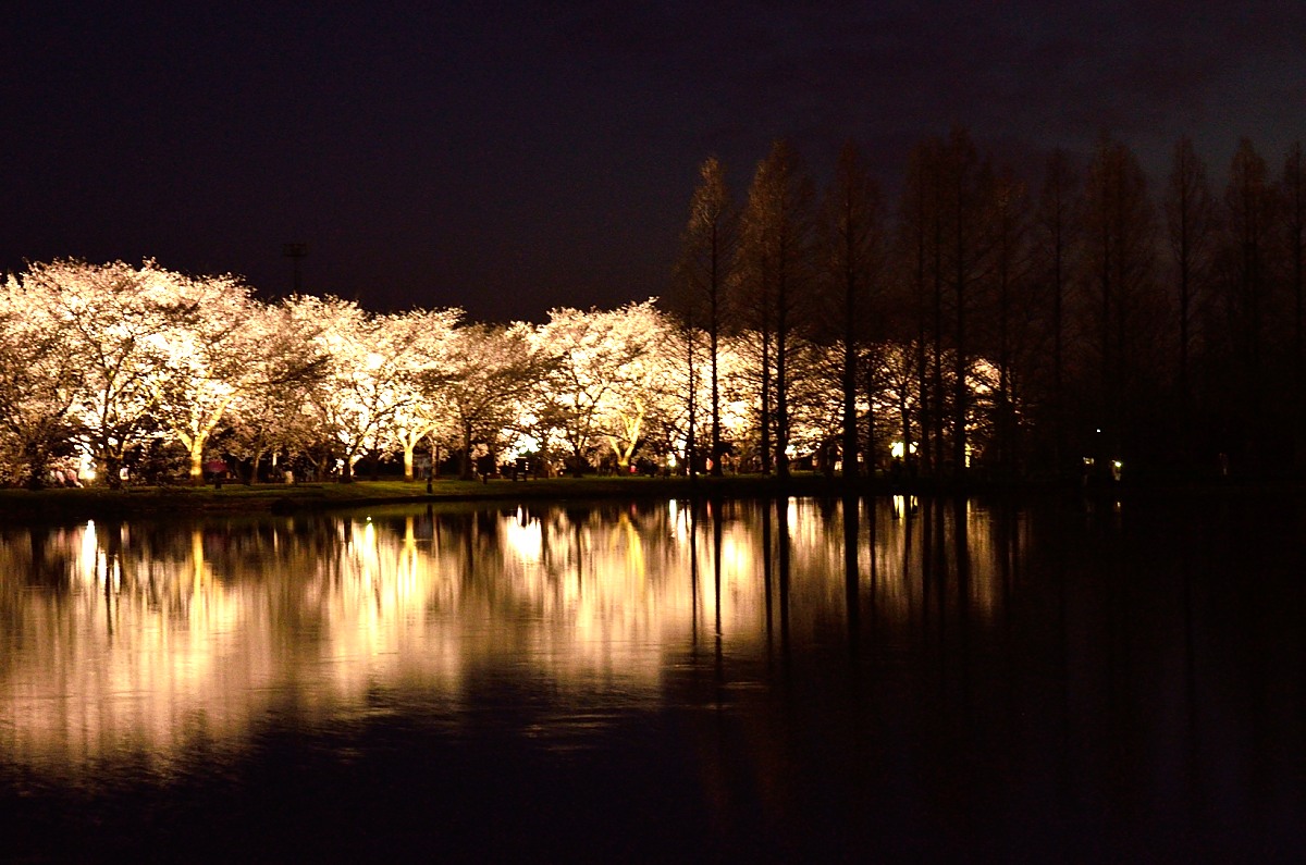 e0223998_1253332.jpg