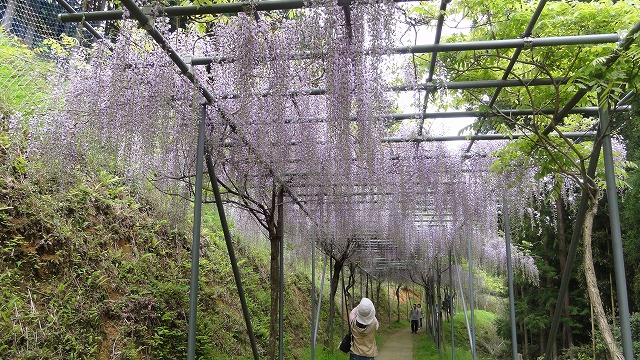 c0125501_2265633.jpg