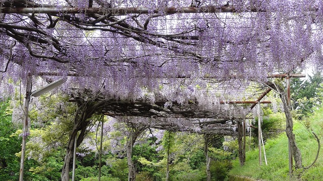 c0125501_2271633.jpg