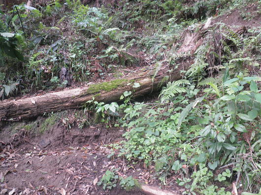 b0055202_22265556.jpg