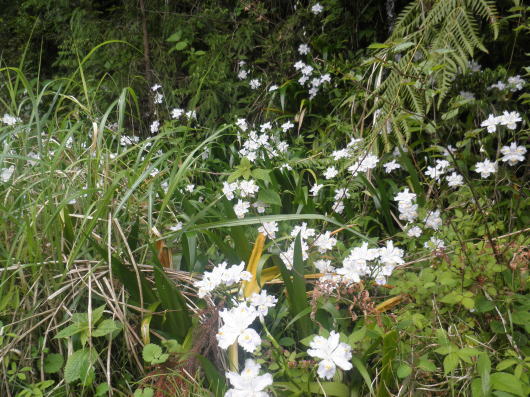 b0055202_22433581.jpg