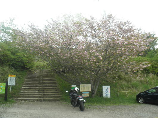 b0055202_230834.jpg