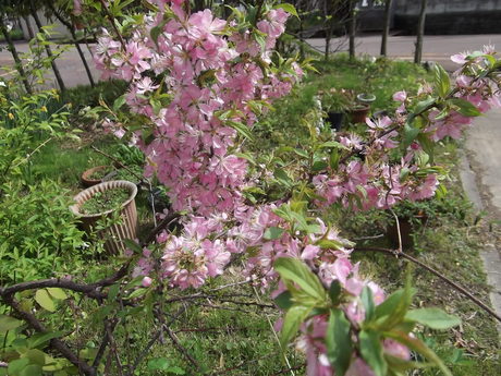 a0203003_1623195.jpg