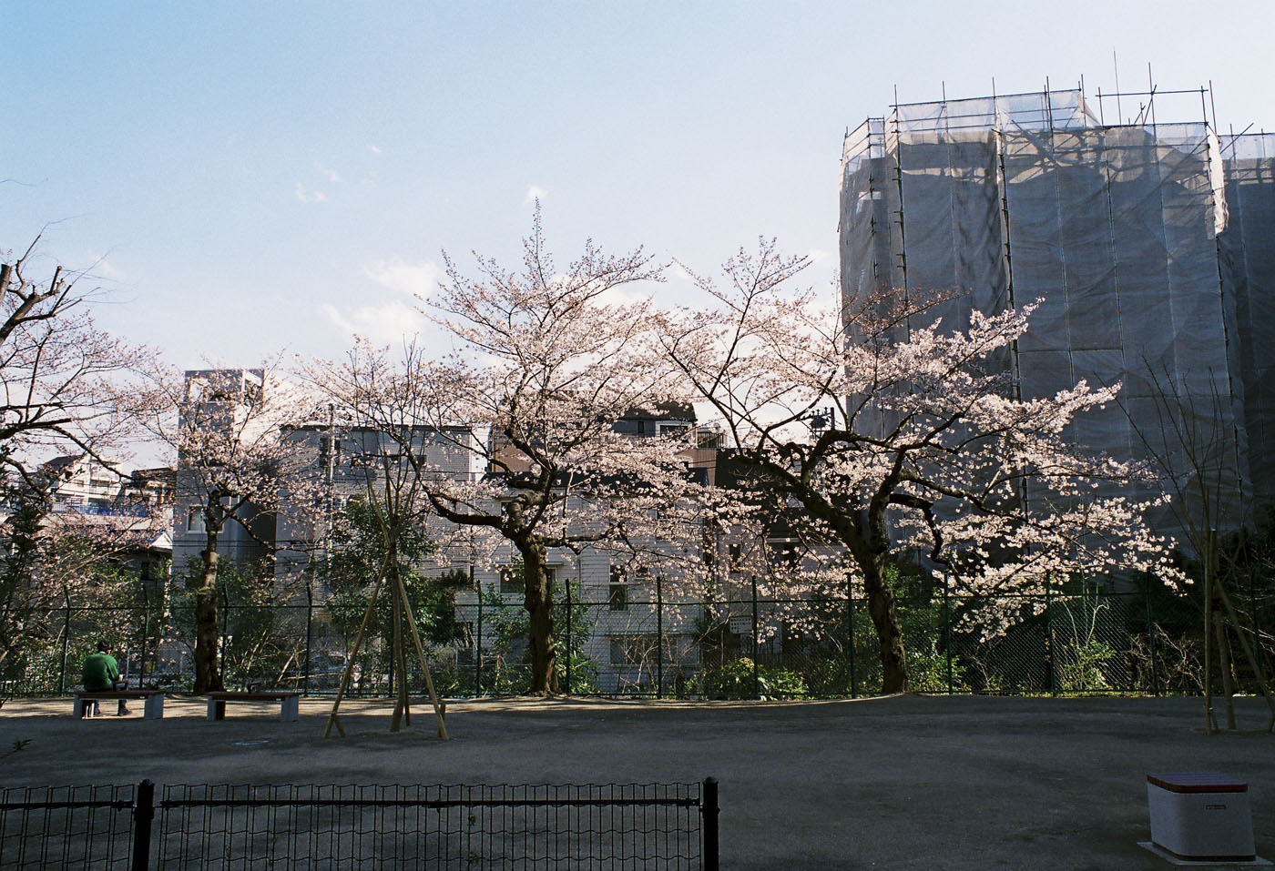 ２０１２、広尾の桜、その６。_c0120903_2415168.jpg