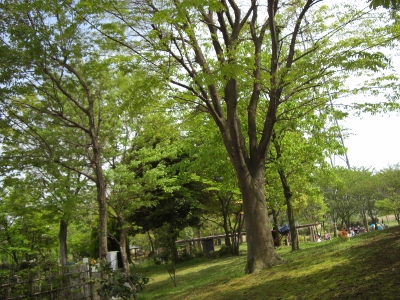 c0132205_2051942.jpg