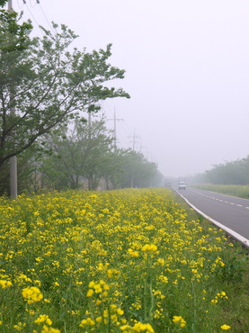 c0148705_21131885.jpg