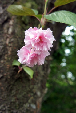 c0148705_2264671.jpg