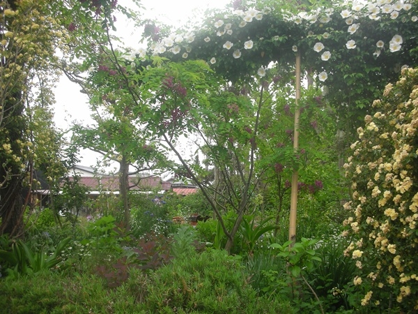 f0035506_7154992.jpg