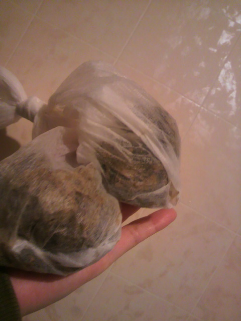 f0024708_6513610.jpg