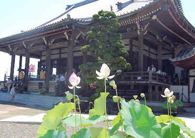 c0209909_6245038.jpg