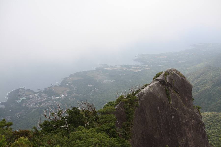 f0212511_16125218.jpg