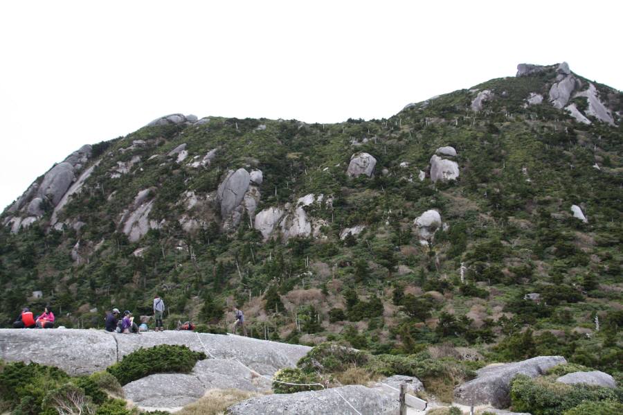 f0212511_8474490.jpg