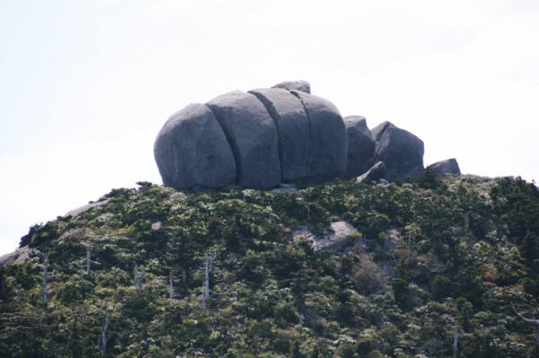 f0212511_95957.jpg