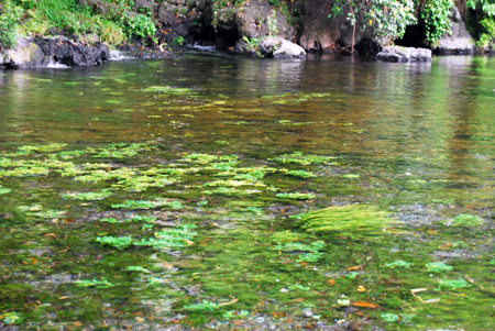 d0113613_10231567.jpg
