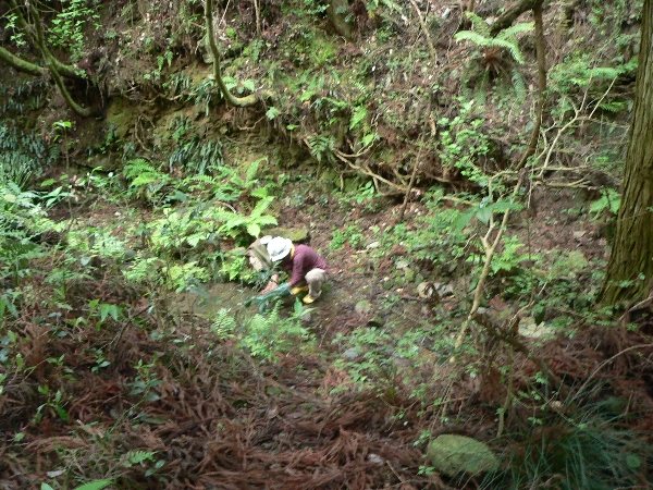 e0002314_22102933.jpg