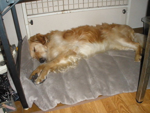 c0240318_21494325.jpg
