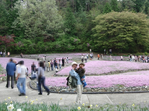 花のじゅうたん_e0179321_21592984.jpg