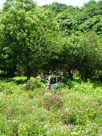 c0189724_16392749.jpg