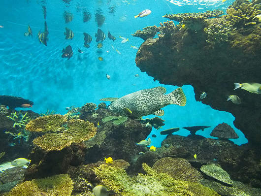 水族館にて_d0052327_114131.jpg