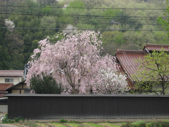 b0211028_852186.jpg