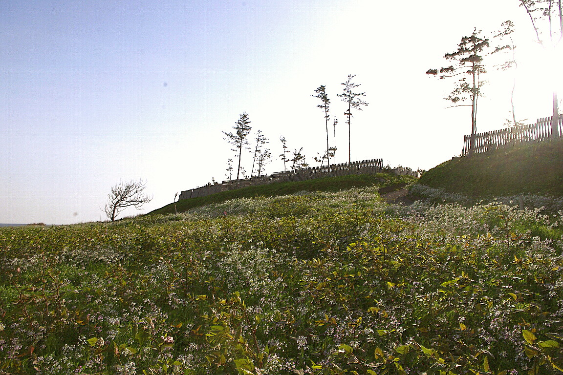 c0113733_23381413.jpg