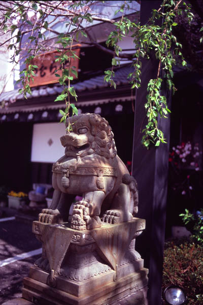f0114339_21504495.jpg