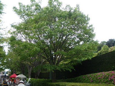 a0054240_21552920.jpg