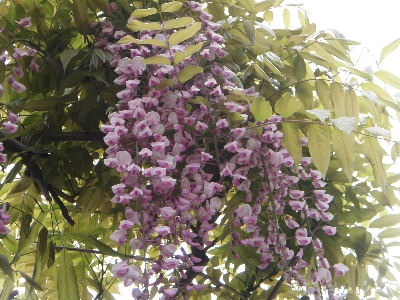 a0054240_223680.jpg