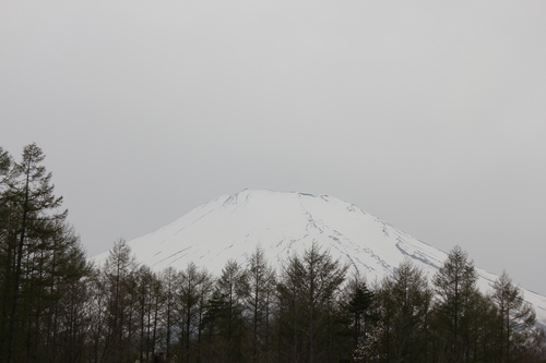 b0245048_8133919.jpg