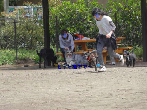 a0267851_0192584.png