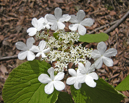 a0001354_2222445.gif