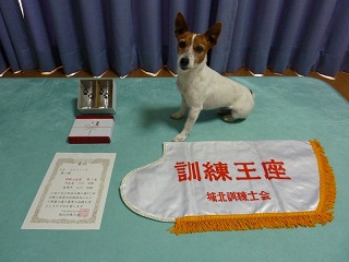 b0203758_2313665.jpg