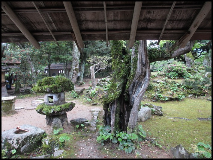 雨の「萩大茶会の初日」に・・・・_f0113862_19115718.jpg