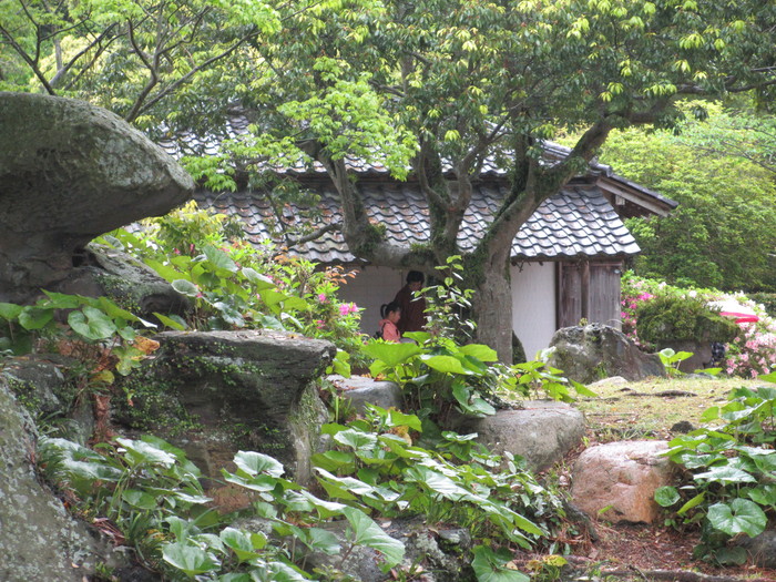 雨の「萩大茶会の初日」に・・・・_f0113862_19315953.jpg