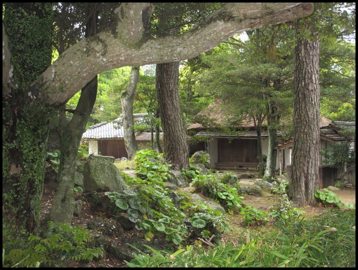 f0113862_195187.jpg