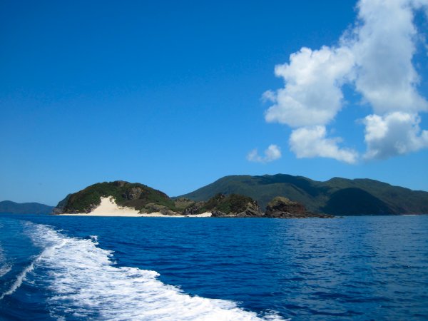 b0177163_15125520.jpg