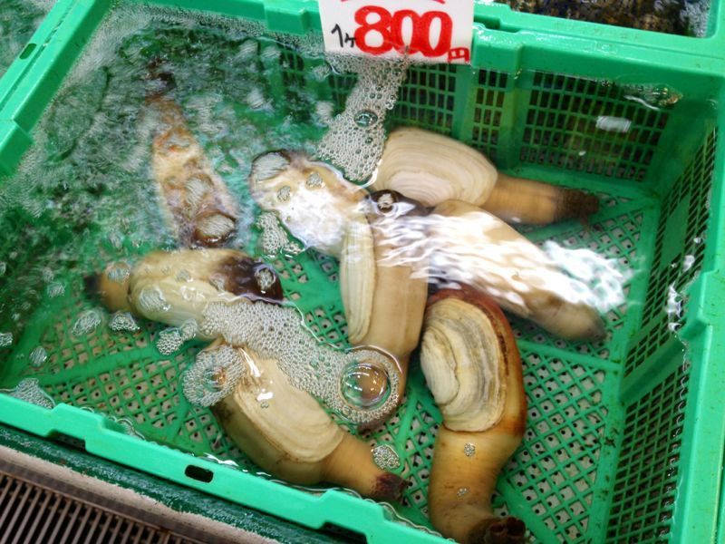BBQ買出し!_c0151965_1511537.jpg