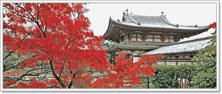 宇治・「平等院」の藤の花・・・残念！！_a0052666_15364944.jpg