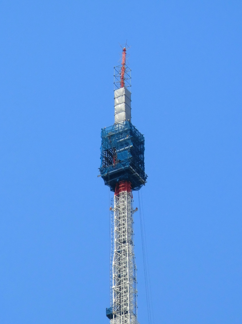 d0193569_744262.jpg