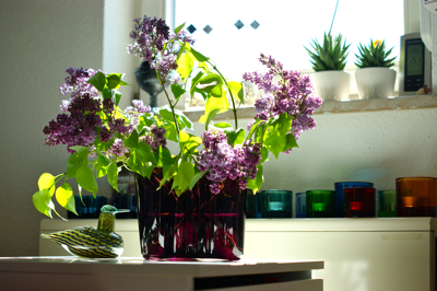 Alvar Aalto Collection -Vase 160mm dark lilac : buckの気まま Alvar Aalto Collection -Vase 160mm dark lilac : buckの気まま