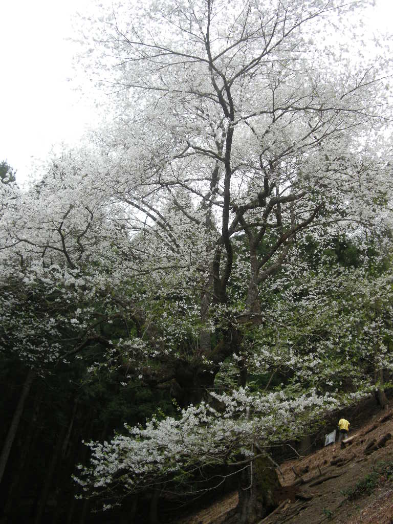 b0185573_10322647.jpg
