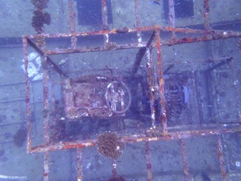 c0039073_771454.jpg