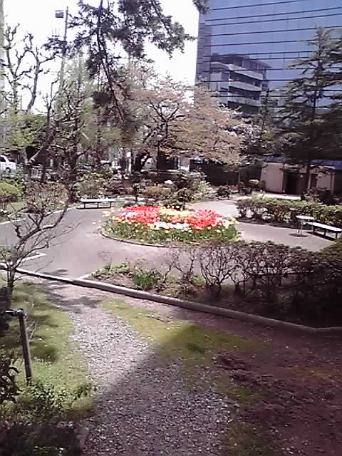 ラ・フォル・ジュルネ新潟に参加して…その2_d0159273_6355372.jpg
