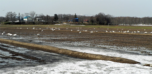 f0083977_732296.jpg