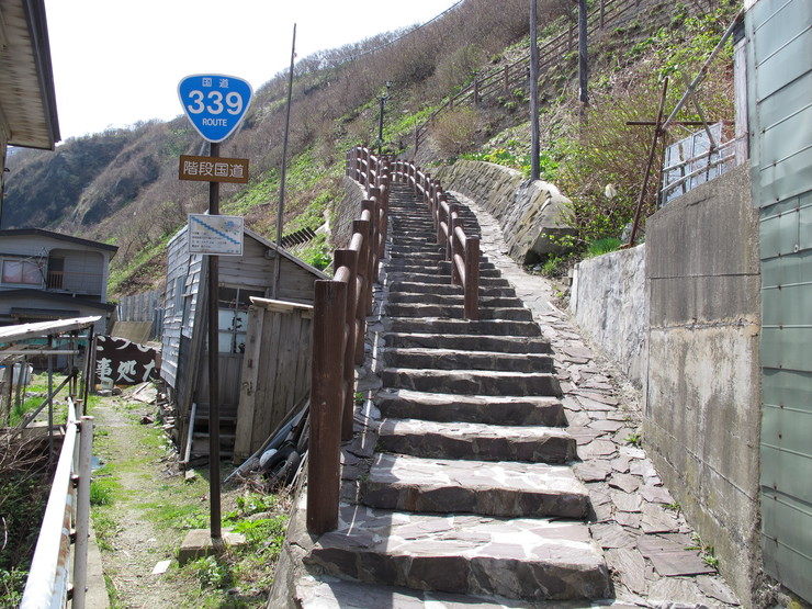 d0042380_17271889.jpg