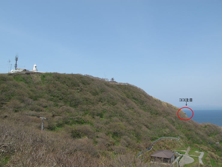 d0042380_17364165.jpg
