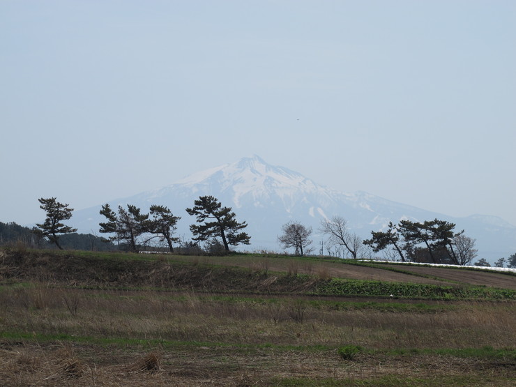 d0042380_1825894.jpg