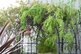 正しい休日_b0098584_2031581.jpg