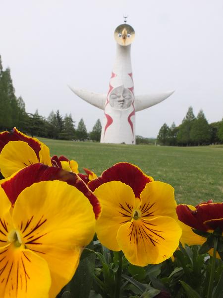 c0046587_2155531.jpg