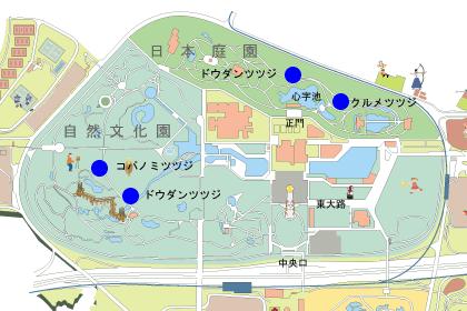 c0046587_23103799.jpg
